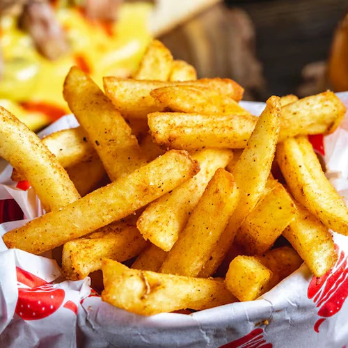 NORMAL FRIES